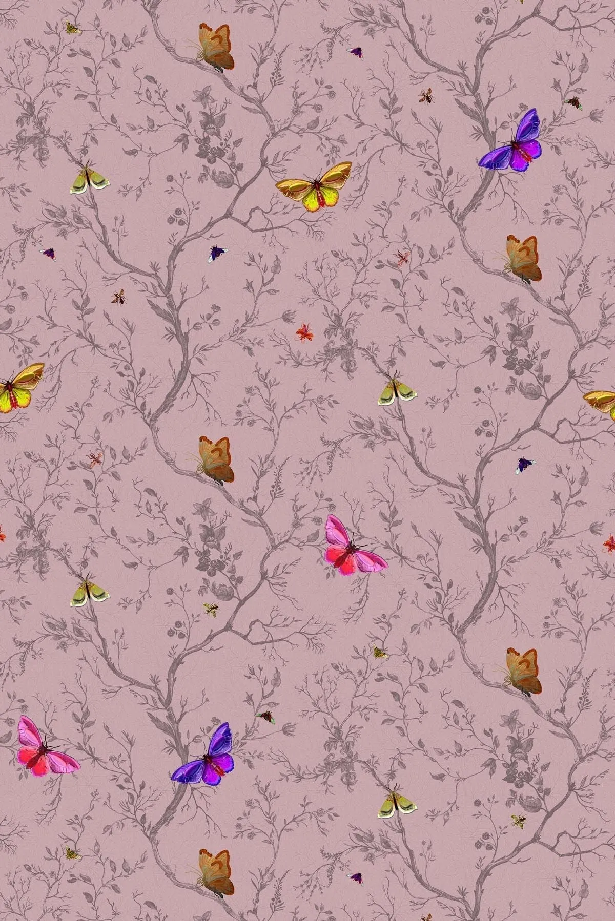 butterflies wallpaper