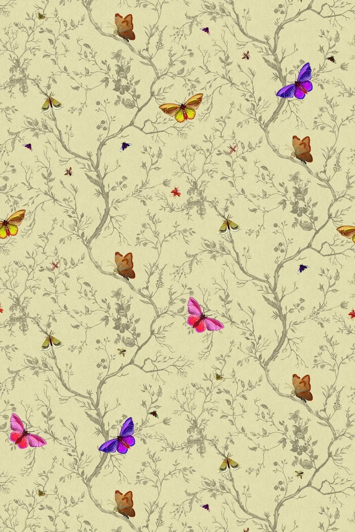 butterflies wallpaper
