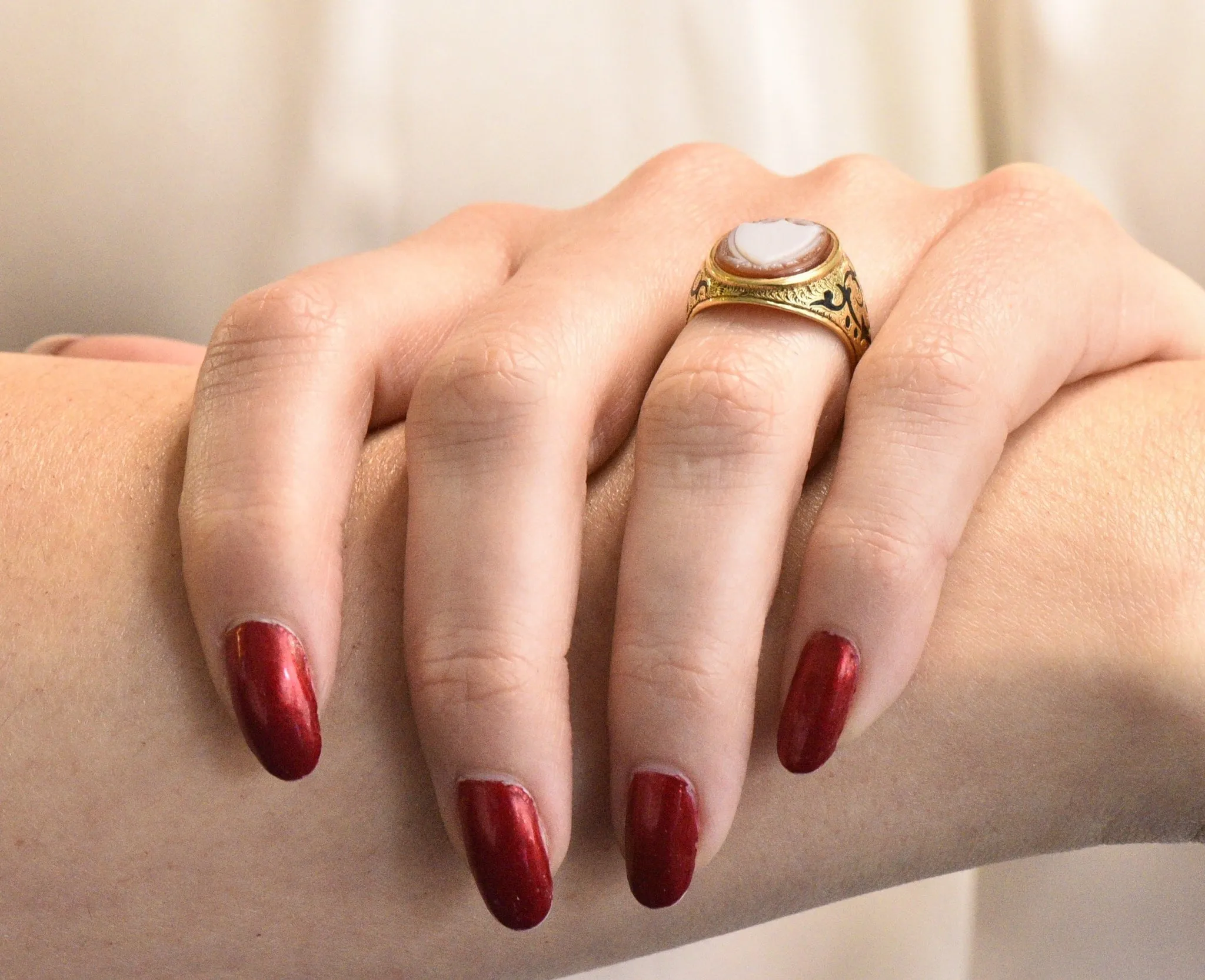 Victorian Carved Hardstone Enamel 14 Karat Gold Shield Unisex Signet Ring